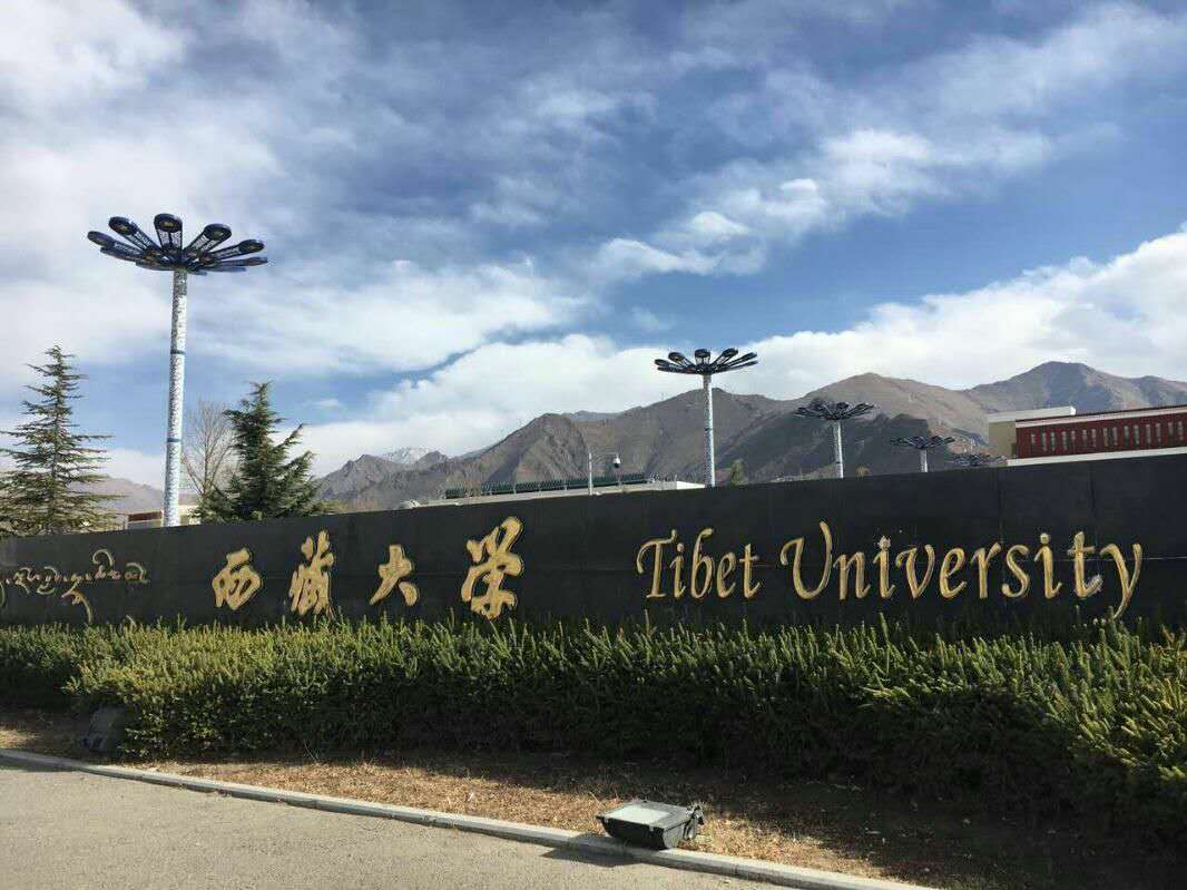 热烈祝贺西藏分公司入驻西藏大学项目
