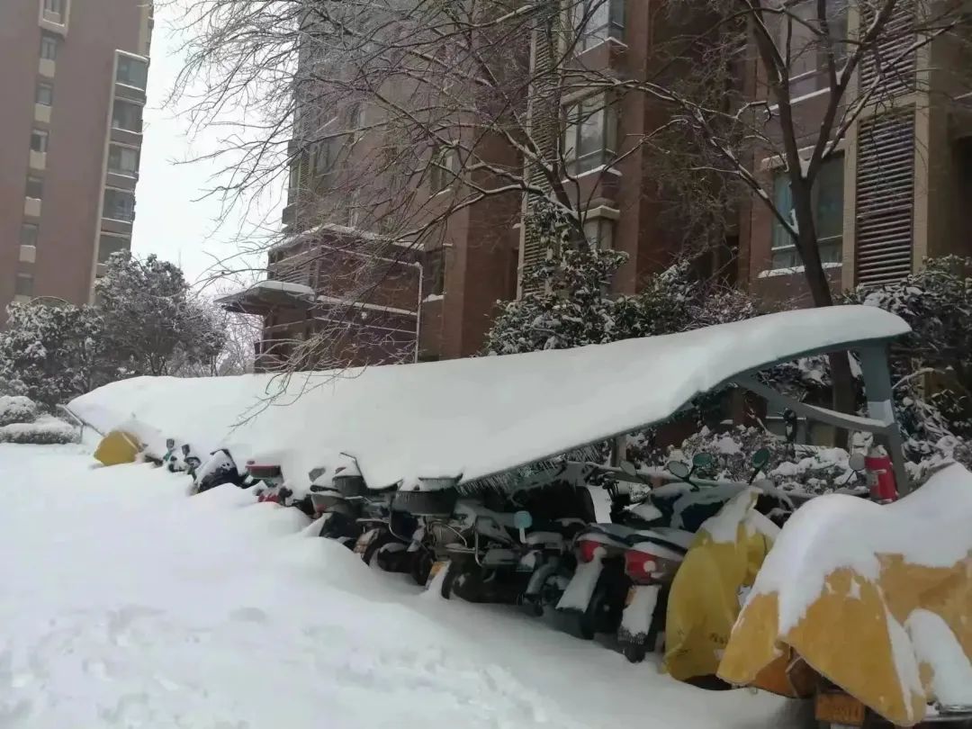 除雪保畅 物业业主齐上阵