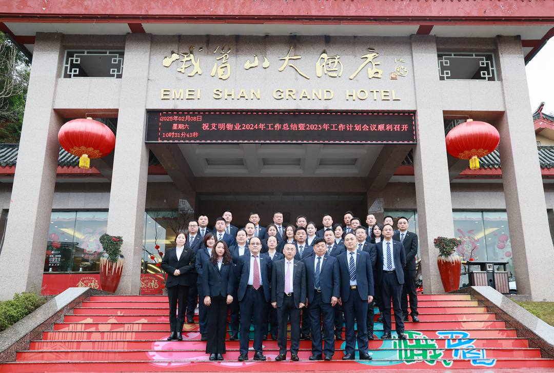 破浪·坚韧笃行 | 艾明公司2024年度工作总结会暨2025年度工作计划会圆满召开